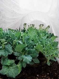 Summerweight Garden Fabric -Green Garden Shop 32644 7936 tif