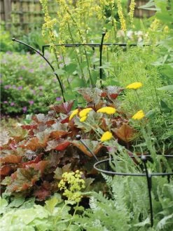 Essex Plant Supports -Green Garden Shop 37423 280 tif