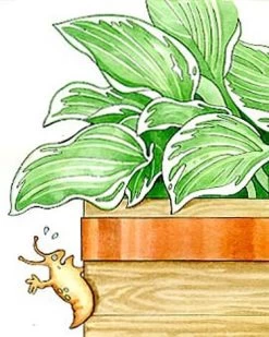 Copper Slug Tape -Green Garden Shop 38 994 b