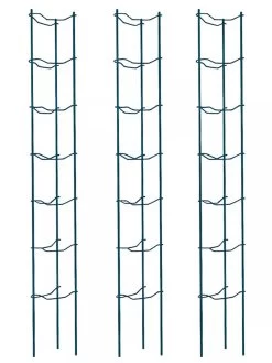 Tomato Ladders, Set Of 3 -Green Garden Shop 38184 002E psd