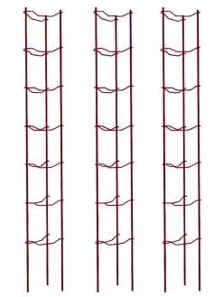 Tomato Ladders, Set Of 3 -Green Garden Shop 38185 002E psd
