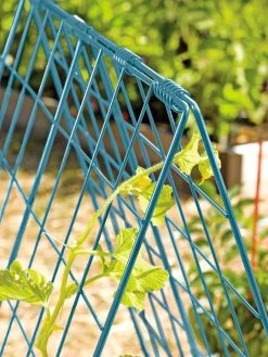 Deluxe Cucumber Trellis -Green Garden Shop 39806 BLUE 100 tif