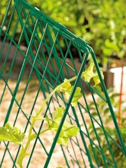 Deluxe Cucumber Trellis -Green Garden Shop 39806 GR edit tif