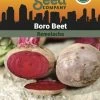 Beet, Boro Organic Seeds -Green Garden Shop 3 4 crop 02367 8613546 Beet Boro SDSC