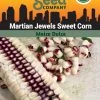 Corn, Martian Jewels Organic Seeds 2 Corn, Martian Jewels Organic Seeds -Green Garden Shop 3 4 crop 83806 8613559 Corn Martian Jewels Sweet SDSC