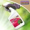 Bonide® Japanese Beetle Killer -Green Garden Shop 3 4 crop 8586927 01V 3 4