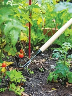 Gardener's Lifetime Long-Handled Double Tool -Green Garden Shop 3 4 crop 8592107 2460 tif