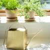 Precision Brass Watering Can 2 Precision Brass Watering Can -Green Garden Shop 3 4 crop 8612812 0076 precision brass watering can
