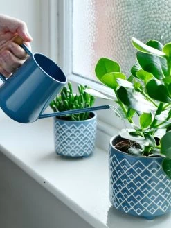 Pinpoint Indoor Watering Can -Green Garden Shop 3 4 crop 8612963 03V tif