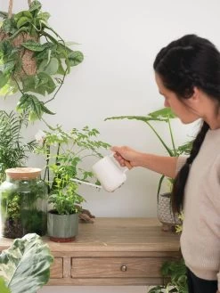 Pinpoint Indoor Watering Can -Green Garden Shop 3 4 crop 8612963 3774