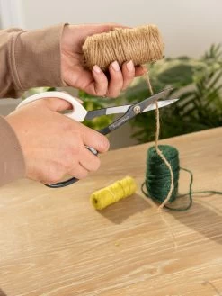 Japanese Pruning Scisssors -Green Garden Shop 3 4 crop 8612968 0099