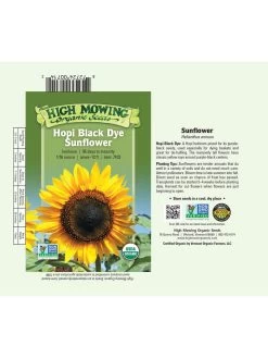 Hopi Black Dye Sunflower Organic Seeds -Green Garden Shop 3 4 crop 8613630 01V 3 4