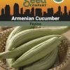 Armenian Cucumber Organic Seeds 1 Armenian Cucumber Organic Seeds -Green Garden Shop 3 4 crop 8613866 81608 Cucumber Armenian SDSC