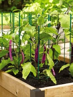 Pepper And Eggplant Stakes, Set Of 3 -Green Garden Shop 40308 2116 tif
