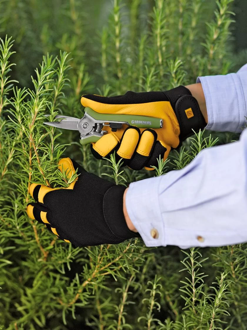 Women's Gold Leaf Soft Touch™ Gloves 3 Women's Gold Leaf Soft Touch™ Gloves