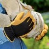 Men's Gold Leaf Winter Touch™ Gloves -Green Garden Shop 8586897 537