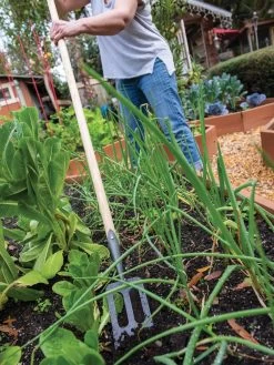 Gardener's Lifetime Spork 8 Gardener's Lifetime Spork -Green Garden Shop 8586973 2385 tif