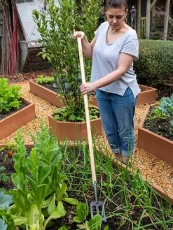 Gardener's Lifetime Spork 11 Gardener's Lifetime Spork -Green Garden Shop 8586973 2405 tif
