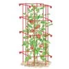 Tomato Cage, Single 1 Tomato Cage, Single -Green Garden Shop 8587039 TomatoCage tif