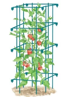 Tomato Cage, Single 8 Tomato Cage, Single -Green Garden Shop 8587039 TomatoCage BLUE tif