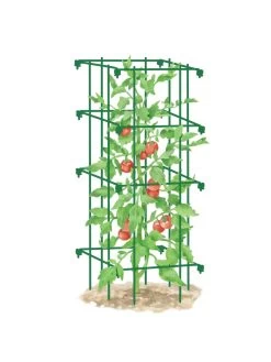 Tomato Cage, Single 9 Tomato Cage, Single -Green Garden Shop 8587039 TomatoCage GRN tif
