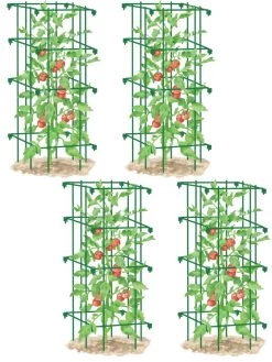 Tomato Cages, Set Of 4 -Green Garden Shop 8587040 GR 001E tif