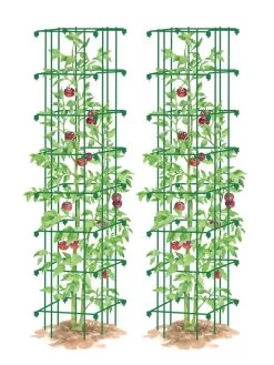 Tomato Towers, Set Of 2 -Green Garden Shop 8587041 0006 GRN tif