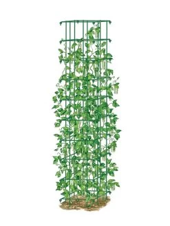 Bean Tower -Green Garden Shop 8587060 0008 GRN tif