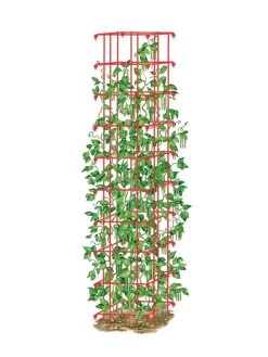 Green Garden Shop -Green Garden Shop 8587060 0008 RED tif