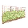Expandable Pea Trellis -Green Garden Shop 8587061 PeaFence Red 001E tif