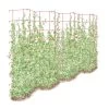 Tall Expandable Pea Trellis 1 Tall Expandable Pea Trellis -Green Garden Shop 8587062 0001 RED tall expandable pea trelis tif