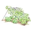 Large Cucumber Trellis -Green Garden Shop 8587082 CukeTrellis L Blk 001E tif