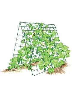 Deluxe Cucumber Trellis -Green Garden Shop 8587083 001 GRN tif