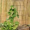 Wire A-Frame Trellis -Green Garden Shop 8587104 526 tif
