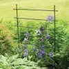 Jardin Ladder Trellis -Green Garden Shop 8587107 1651 tif