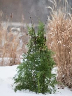 Jardin Pot Trellis -Green Garden Shop 8587120 009 tif