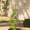 Jardin Pot Trellis -Green Garden Shop 8587120 224 tif