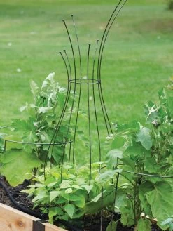 Jardin Pot Trellis -Green Garden Shop 8587120 7037 tif