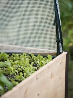 Protection Frame & Covers, 2' X 8' -Green Garden Shop 8587631 265 tif