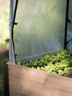 Protection Frame & Covers, 2' X 8' -Green Garden Shop 8587631 268 tif