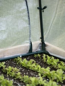 Protection Frame & Covers, 2' X 8' -Green Garden Shop 8587631 271 tif