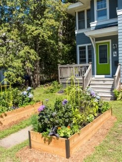 Zenith Folding Garden Supports, Set Of 2 -Green Garden Shop 8587807 0801 tif