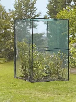 Crop Cage, 4' X 4' -Green Garden Shop 8587832 149 tif