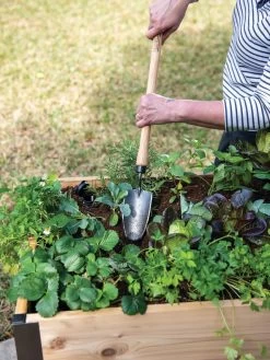 Gardener's Lifetime Raised Bed Trowel 7 Gardener's Lifetime Raised Bed Trowel -Green Garden Shop 8588014 4084 tif