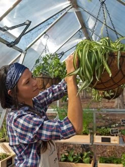 Canopia® By Palram Balance Greenhouse, 8' X 12' 31 Canopia® By Palram Balance Greenhouse, 8' X 12' -Green Garden Shop 8588023 07V jpg