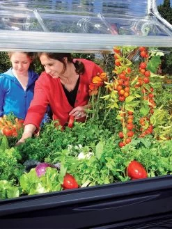 Canopia® By Palram Plant Inn™ Raised Bed Greenhouse, 4' X 4' -Green Garden Shop 8588308 03V tif