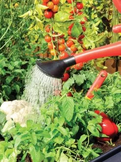 Canopia® By Palram Plant Inn™ Raised Bed Greenhouse, 4' X 4' -Green Garden Shop 8588308 06V tif