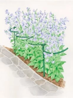 Tidy Path Supports -Green Garden Shop 8588403 003 1