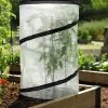 Pop-Up Tomato Accelerator -Green Garden Shop 8589749 4171 pop up tomato plant protector and accelerator tif