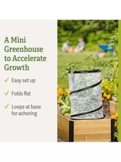 Pop-Up Tomato Accelerator -Green Garden Shop 8589749 feature 2